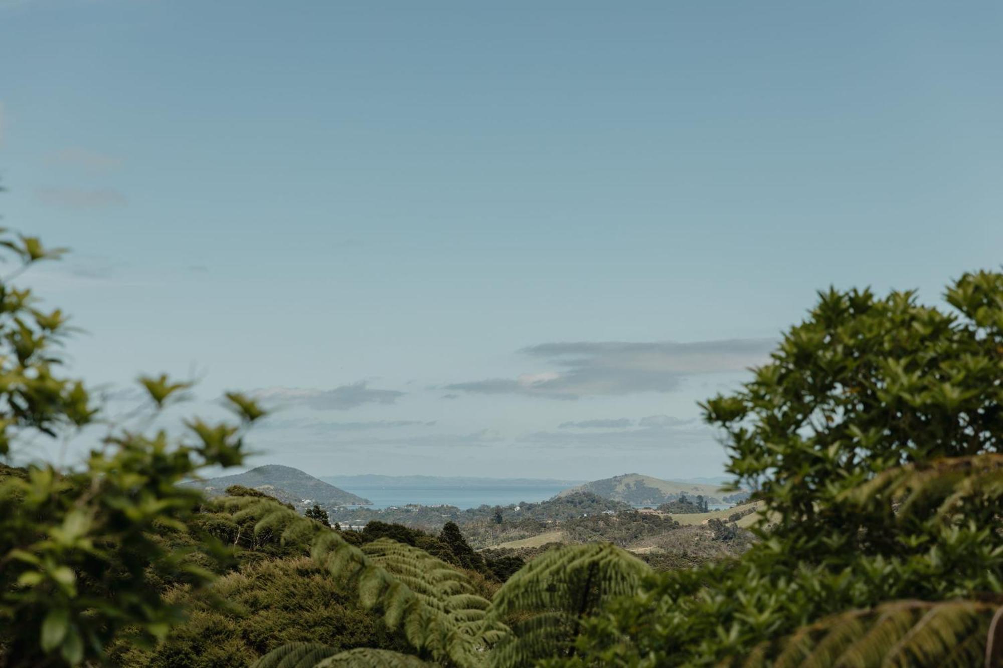 Coromandel Buffalo Lodge المظهر الخارجي الصورة