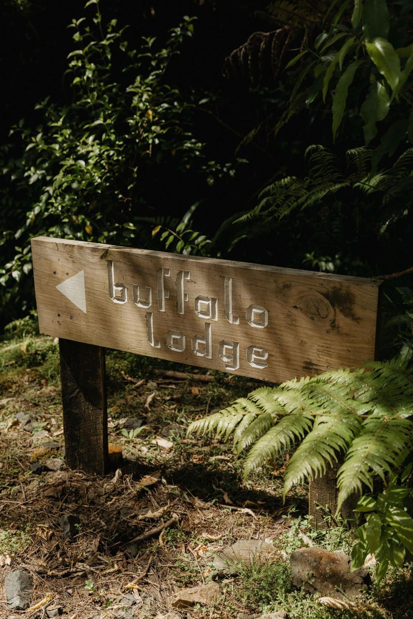 Coromandel Buffalo Lodge المظهر الخارجي الصورة
