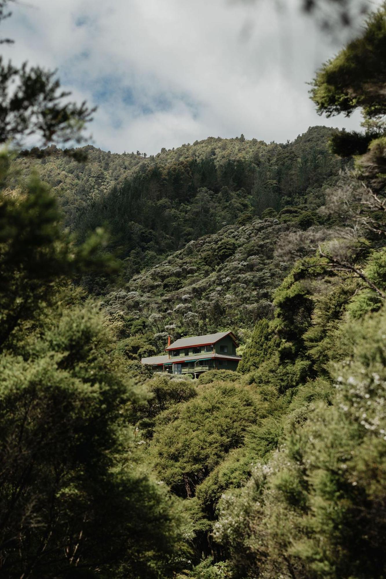 Coromandel Buffalo Lodge المظهر الخارجي الصورة